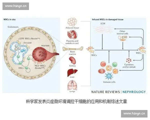 体育赛事影响因素综述：从气候环境到心理状态的多维度解析